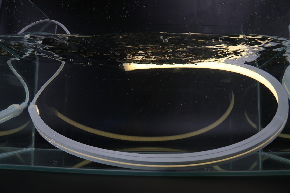 1616正弯IP68霓虹系列——RY1616C0FC-K